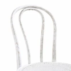 Camille Elm Wood And Rattan Bentwood Dining Chair, Distressed White -Daals Shop DCH 002 WASHWHITE detail2