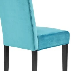Maidwell Set Of 2 Air Blue Velvet Dining Chairs -Daals Shop DCH LW8116 ABLUEVEL 2P detail3