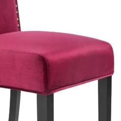 Maidwell Set Of 2 Crimson Red Velvet Dining Chairs 20 Maidwell Set Of 2 Crimson Red Velvet Dining Chairs -Daals Shop DCH LW8116 REDVEL 2P detail2