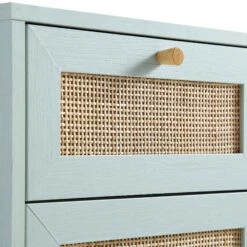 Frances Woven Rattan 1-Door Bathroom Cabinet, Mint -Daals Shop FT BAC 01 SAGE detail1