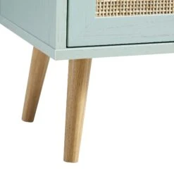 Frances Woven Rattan 1-Door Bathroom Cabinet, Mint -Daals Shop FT BAC 01 SAGE detail3