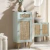 Frances Woven Rattan 1-Door Bathroom Cabinet, Mint -Daals Shop FT BAC 01 SAGE main