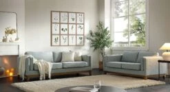 Dipley Sage Fabric Sofa, 2-Seater -Daals Shop GCSF 2339 SAGE WOV group1