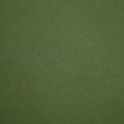 Timber Fern Green Velvet Sofa, 2-Seater 29 Timber Fern Green Velvet Sofa, 2-Seater -Daals Shop GCSF 2348 MOSS VEL 3ST fabric