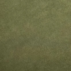 Pienza Cane Sofa Bed, Moss Green Velvet With Walnut Frame 33 Pienza Cane Sofa Bed, Moss Green Velvet With Walnut Frame -Daals Shop LWSF 760 GREENVEL WALN fabric