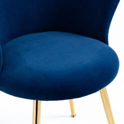 Kylie Set Of 2 Blue Velvet Dining Chairs -Daals Shop MO104BLUEVEL P detail1