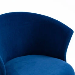Kylie Set Of 2 Blue Velvet Dining Chairs -Daals Shop MO104BLUEVEL P detail2