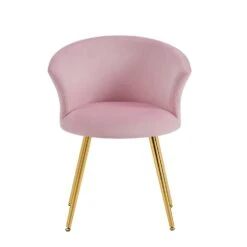 Kylie Set Of 2 Pink Velvet Dining Chairs -Daals Shop MO104PINKVEL P WB2