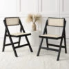 Frances Set Of 2 Folding Cane Rattan Chairs, Black Colour -Daals Shop XN 2054 BLACK 2P main